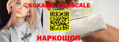 спайс Тара